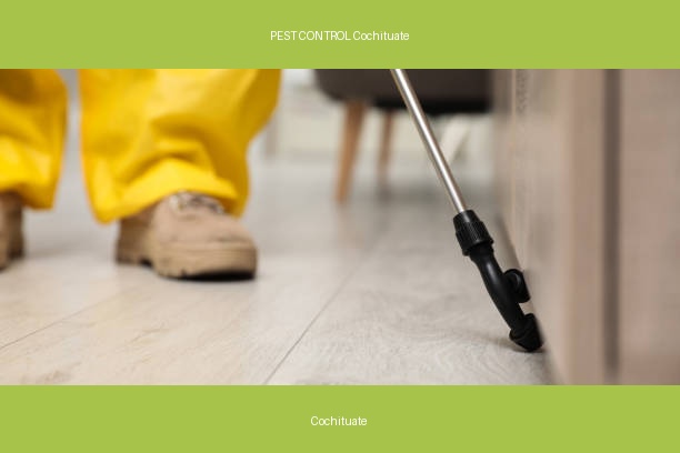 PEST CONTROL Cochituate